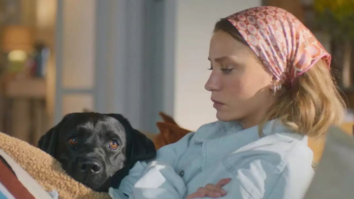 Turecka komedia romantyczna ,,Dziękuję, następny" zbliża się na Netflixa z 2. sezonem 3 Dziękuję, następny 2