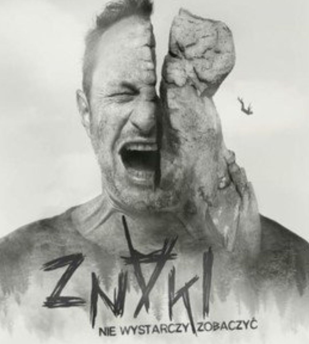 To już ostatni dzwonek! Filmy i seriale, które znikną z Netflixa w czerwcu 2025 2 Filmy i seriale znikające z Netflixa czerwiec 2025