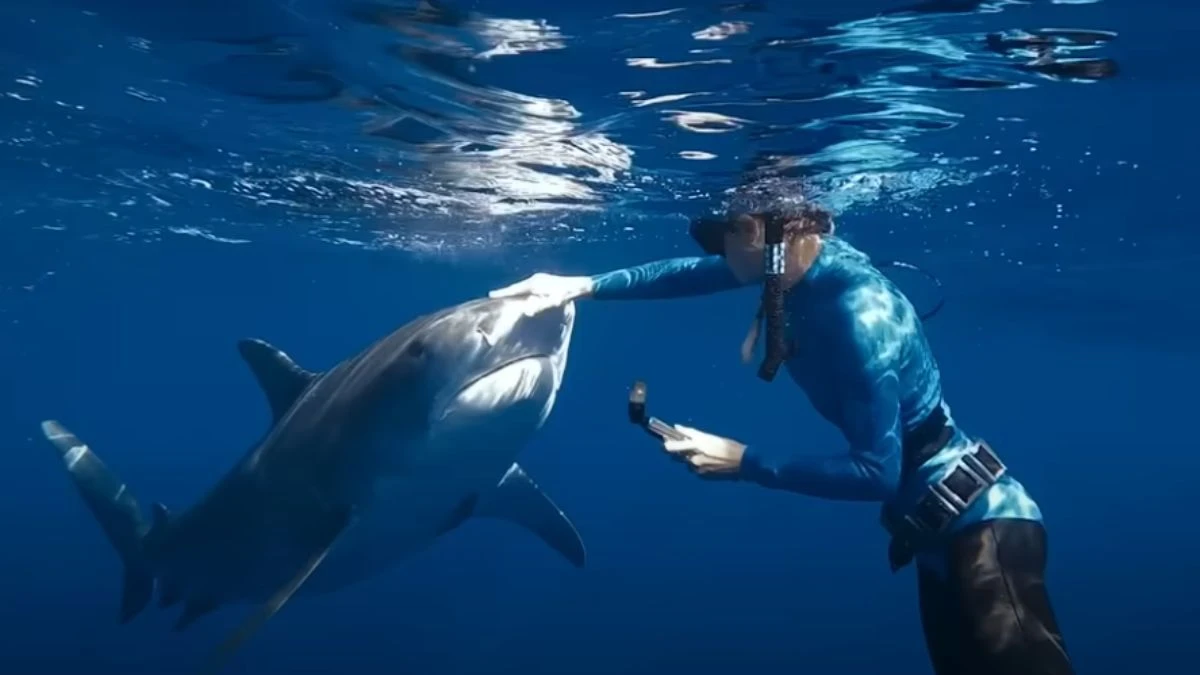 Szeptająca do Rekinów: Pływanie z Rekinami, wstrząsający dokument w Top 10 Netflix opowiada o nieustraszonej kobiecie
