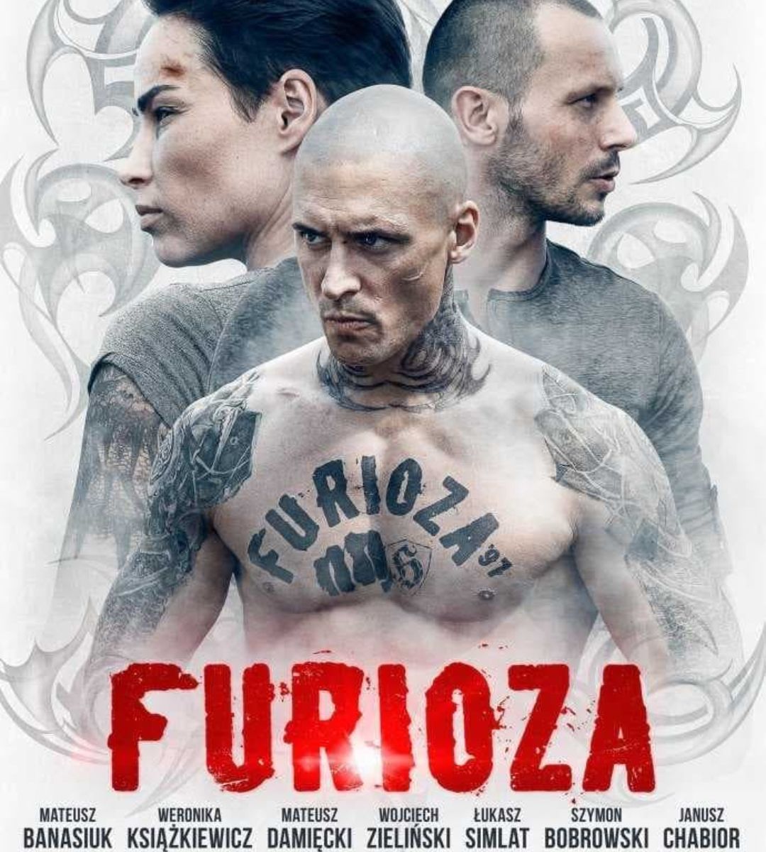 Furioza 2 plakat 1 czesci