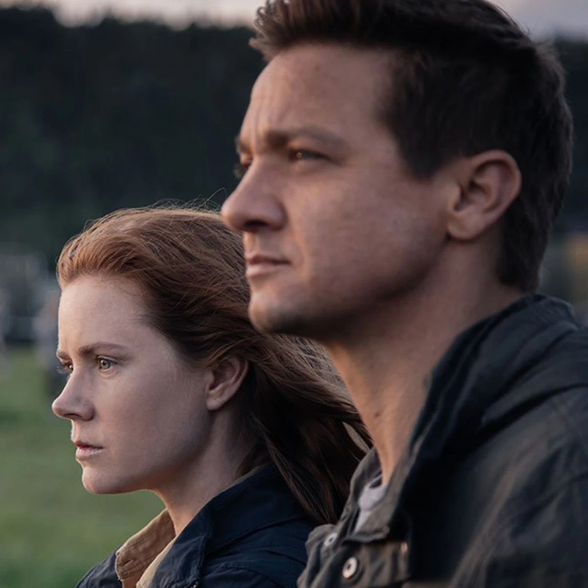 Uno dei migliori film di fantascienza del 21° secolo vede come protagonista l'attrice Amy Adams, candidata al Golden Globe!