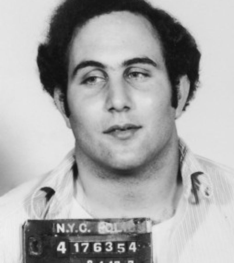 Najlepsze seriale o prawdziwych zbrodniach Netflix:  berkowitz
