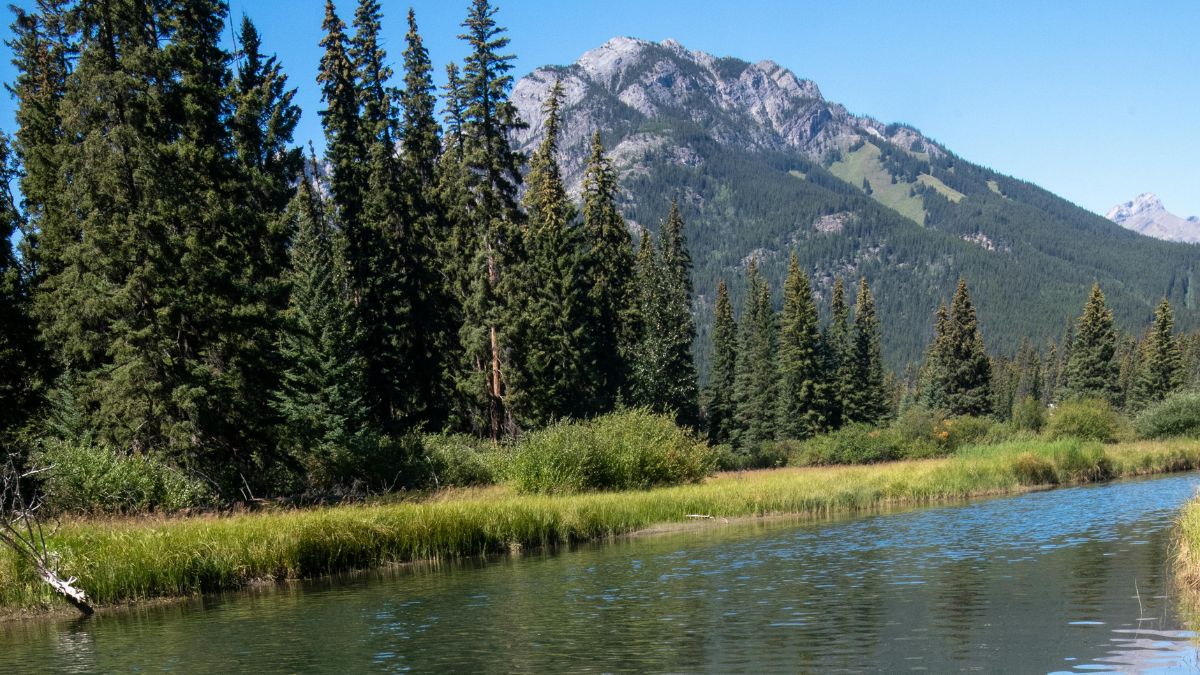 lokalizacje Odrzuceni gdzie kręcono serial rzeka bow