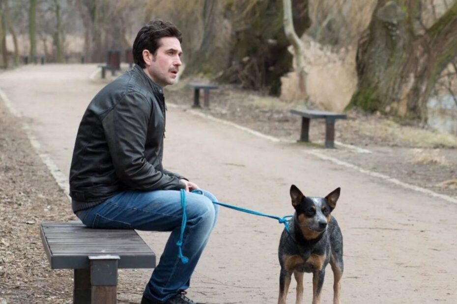 plan b polska komedia romantyczna netflix główna obsada