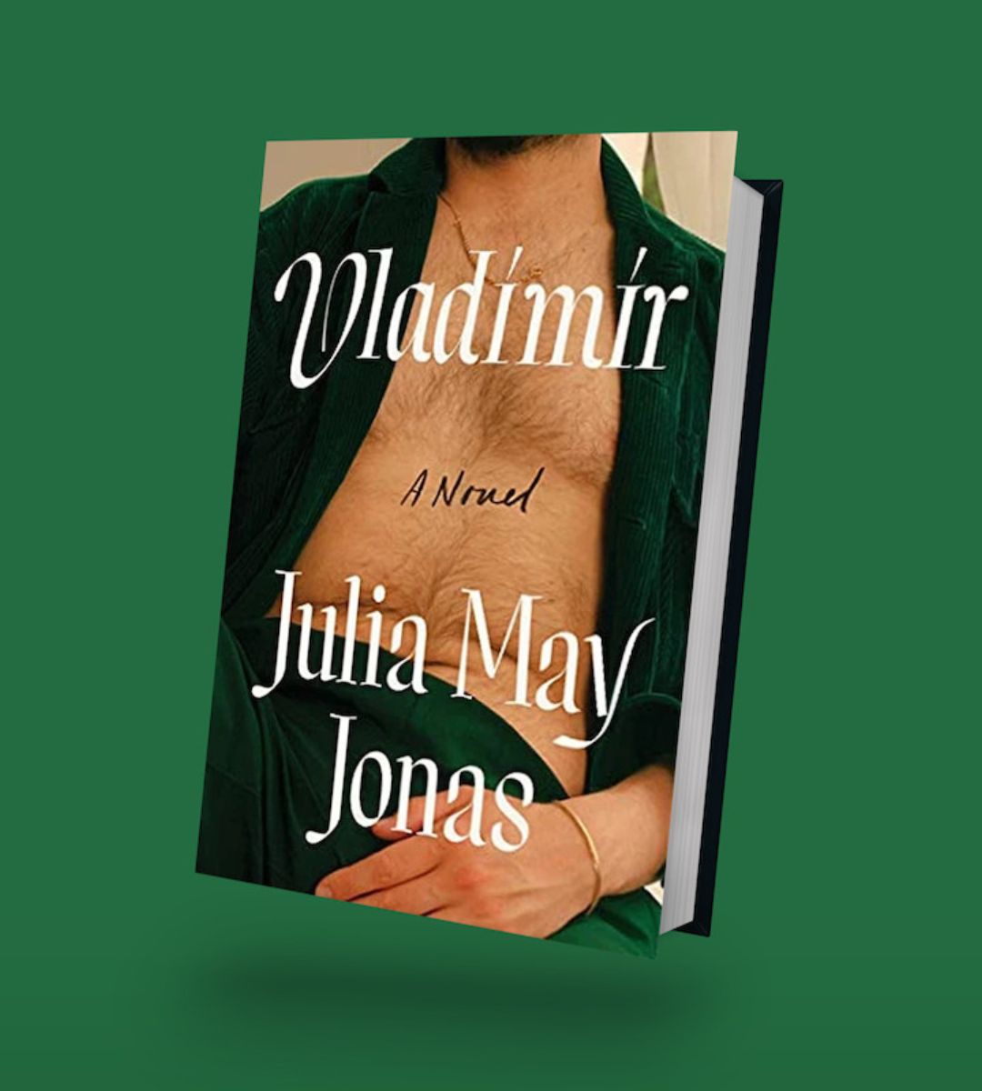 vladimir netflix książka na podstawie której stworzono serial
