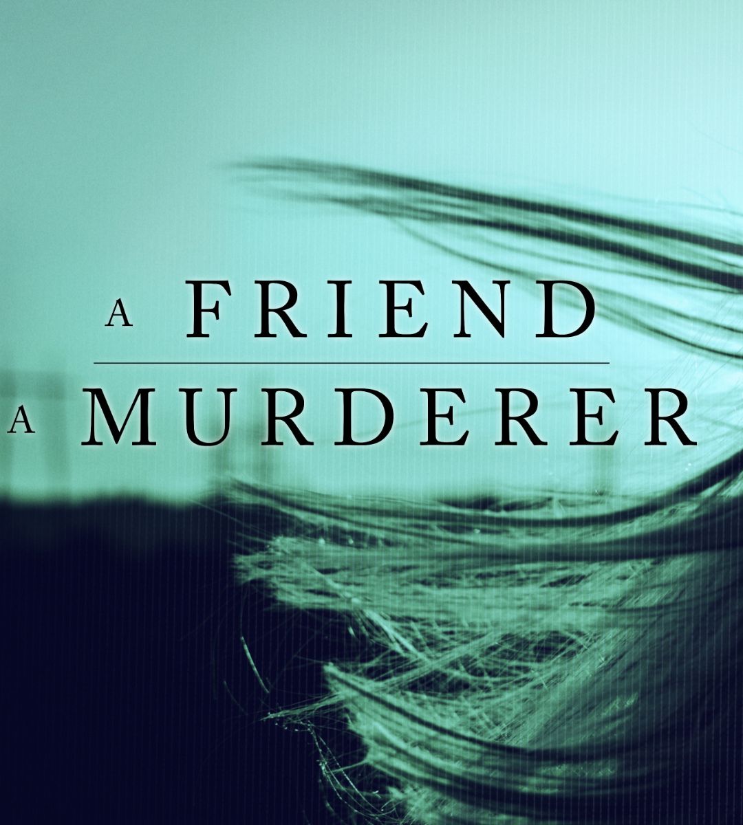 Przyjaciel i morderca netflix plakat