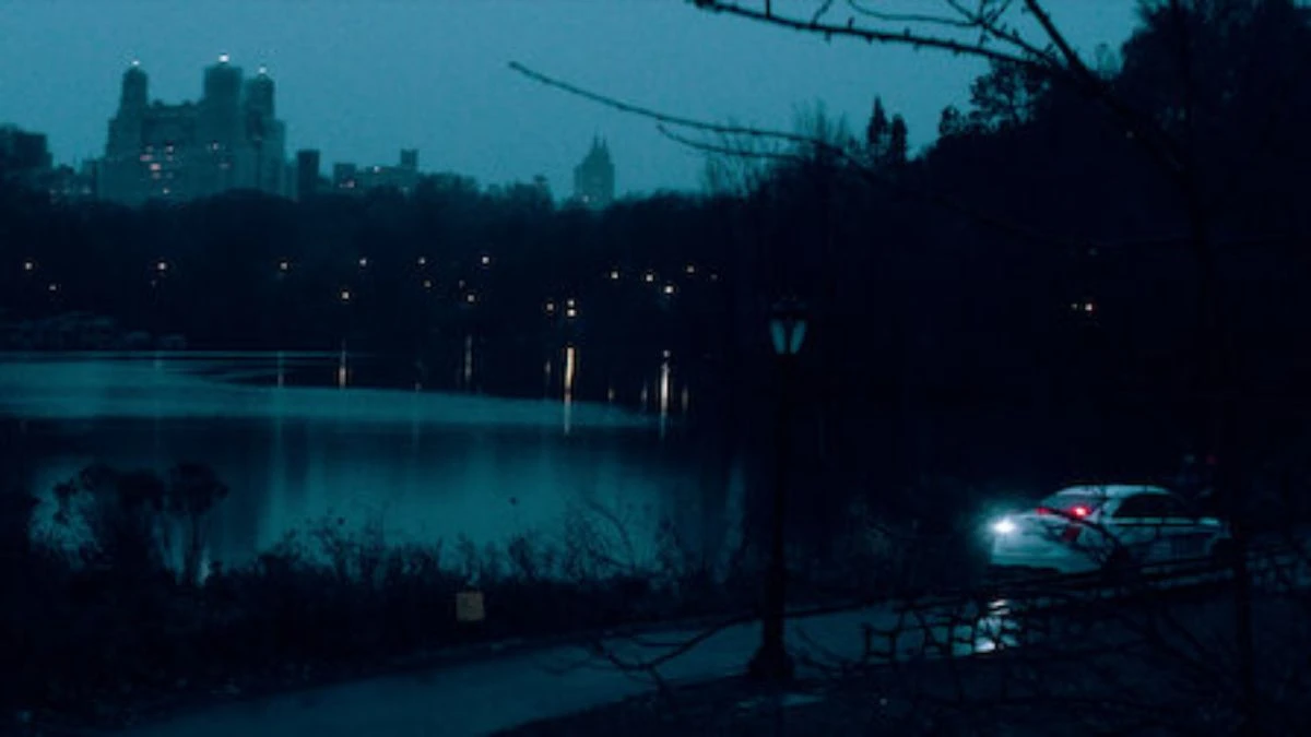 Wydział Zabójstw Nowy Jork  true crime’owa dokuseria Netflixa zagląda w najbrutalniejsze sprawy morderstw w mieście. Fabuła, ciekawostki i zwiastun.