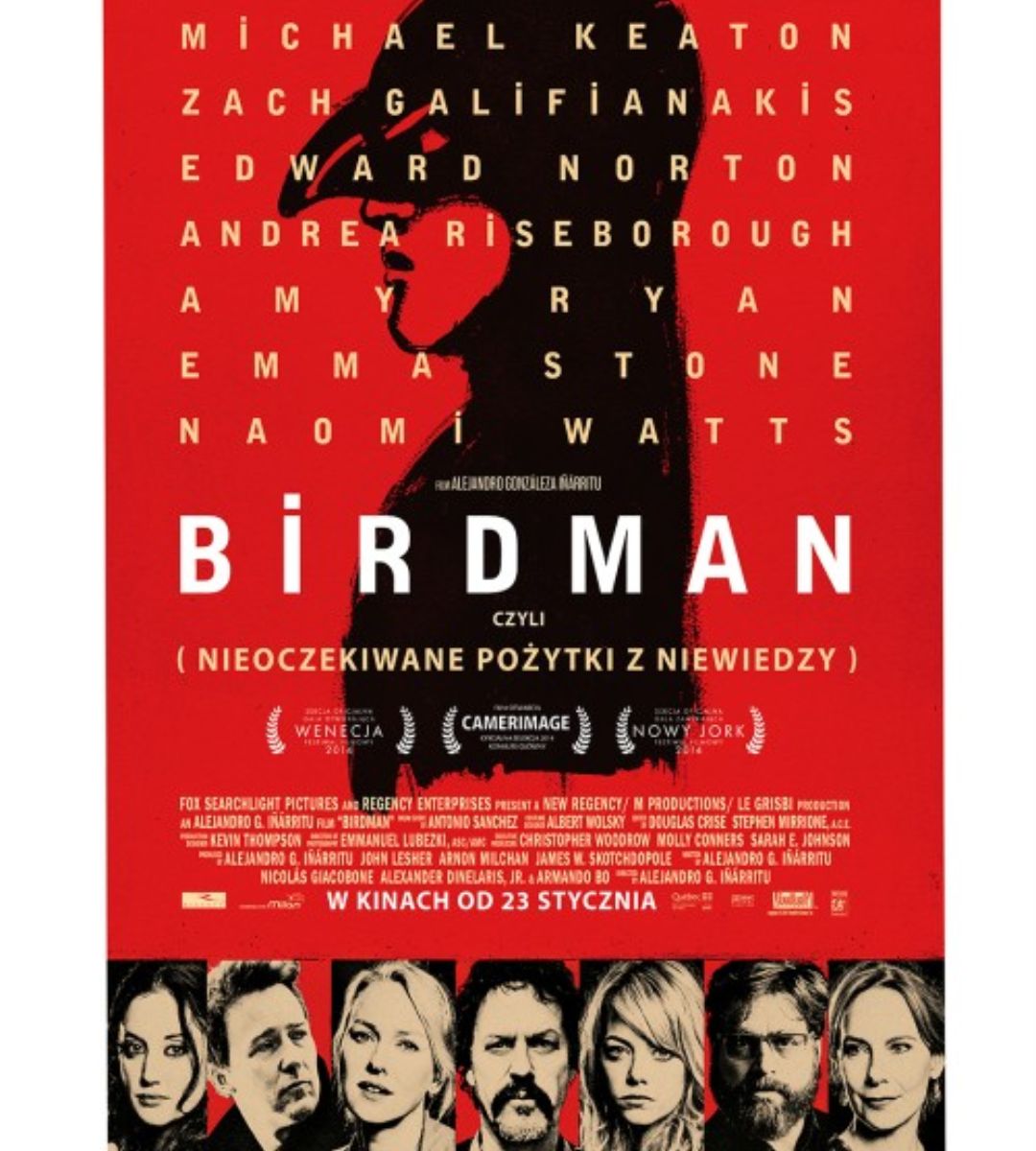 birdman netflix