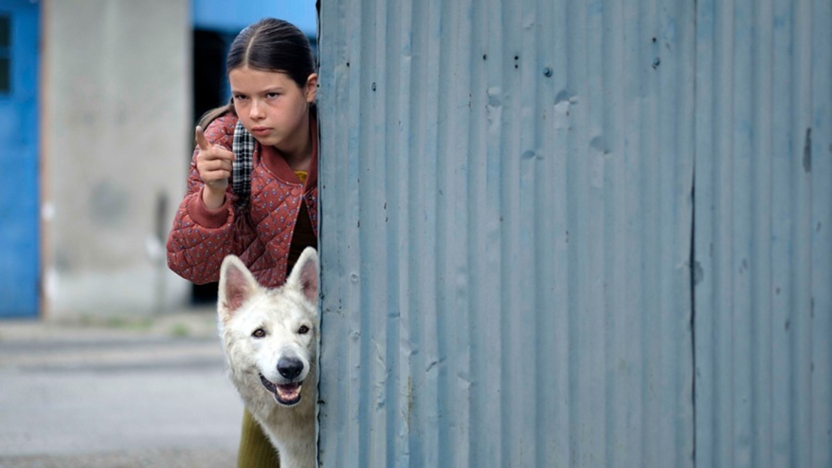 TOP 10 filmów na Netflixie w Polsce dzisiaj o psie ktory jezdzil koleja 