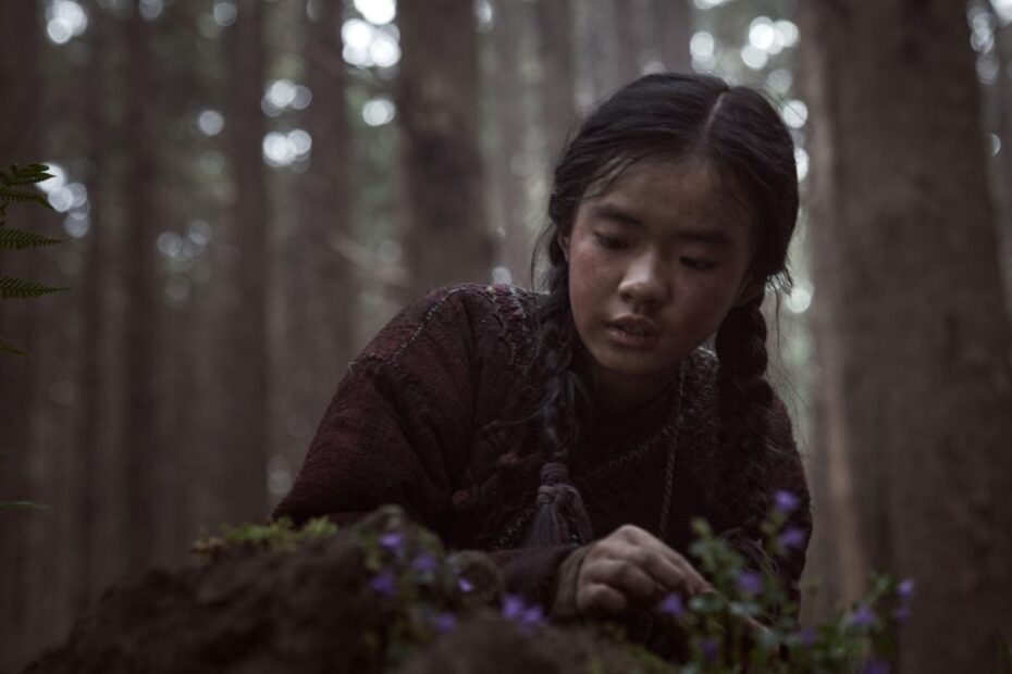 Kingdom Ashin of the North
