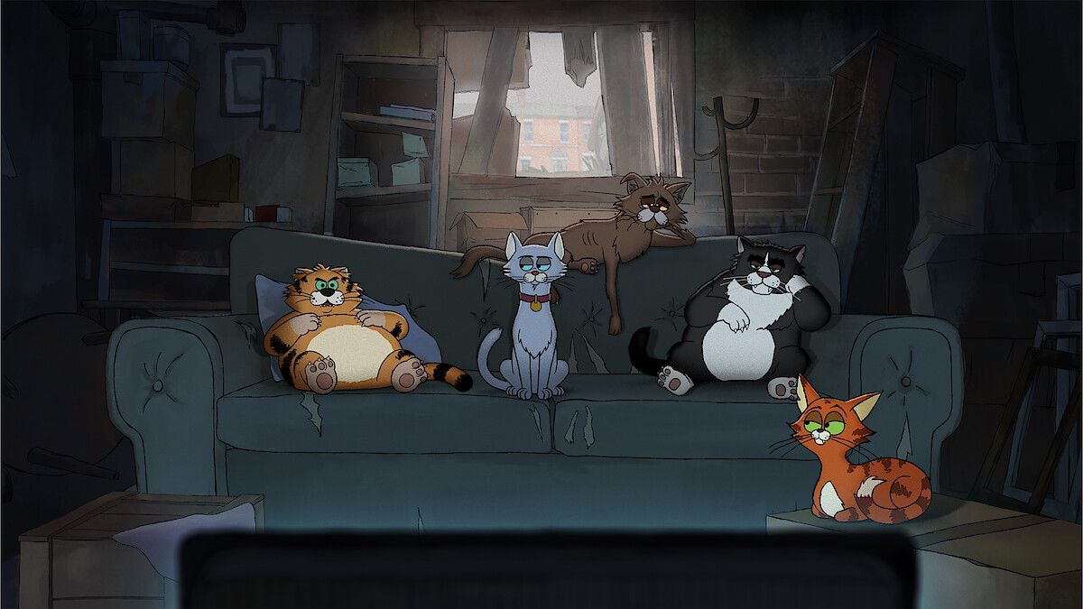 kocie zycie netflix (3)