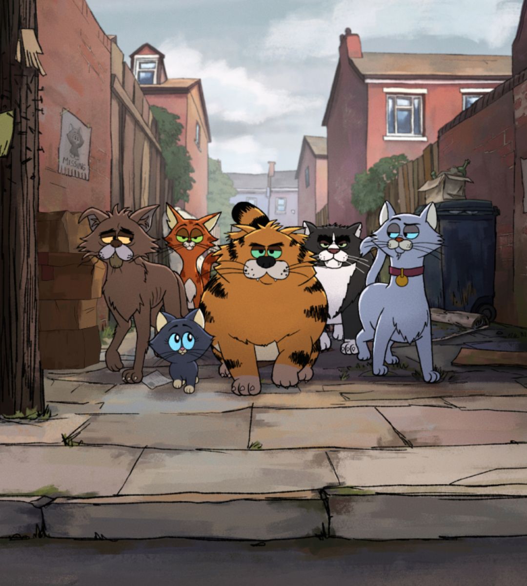 kocie zycie netflix